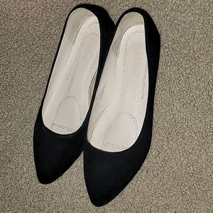 Point Toed Flats
